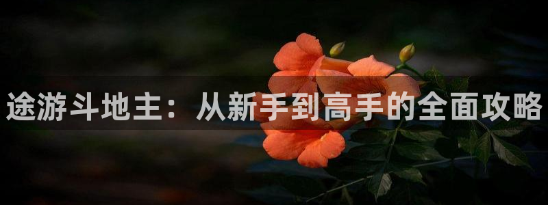 极悦娱乐注册登录：途游斗地主：从新手到高手的全面攻略