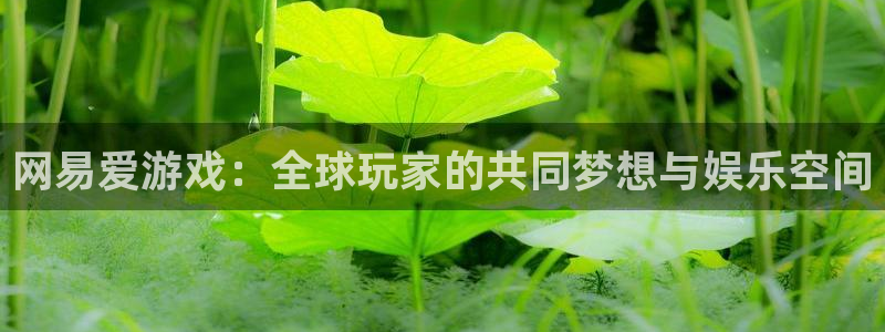 极悦娱乐平台官网登录：网易爱游戏：全球玩家的共同梦想与娱乐空
