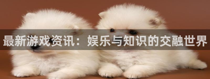 极悦娱乐科技