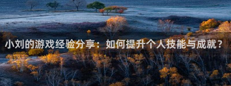 极悦娱乐网页登录入口官网：小刘的游戏经验分享：如何提升个人技