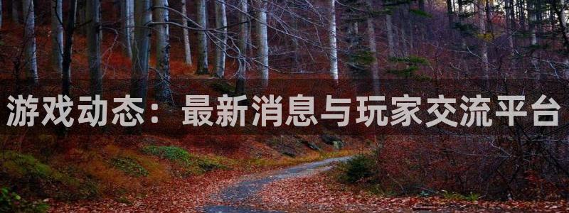 极悦娱乐是什么：游戏动态：最新消息与玩家交流平台