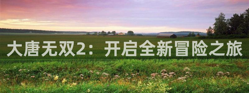 极悦娱乐是什么：大唐无双2：开启全新冒险之旅