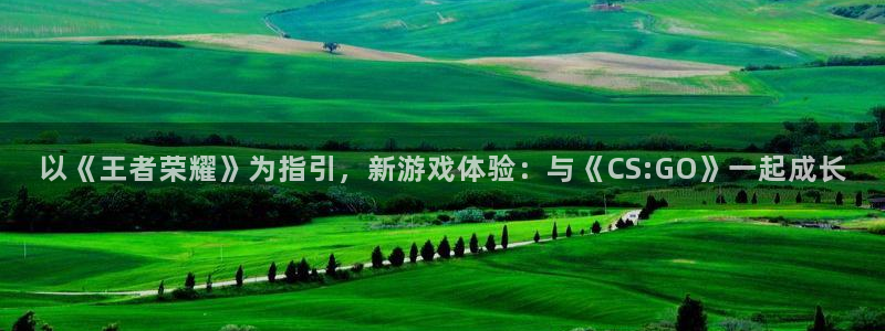 极悦娱乐主管：以《王者荣耀》为指引，新游戏体验：与《CS:G