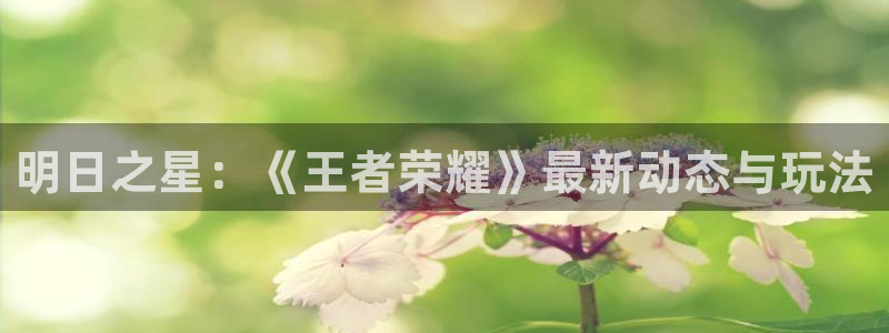 极悦娱乐与天娱的关系：明日之星：《王者荣耀》最新动态与玩法