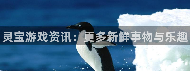 极悦娱乐Ii：灵宝游戏资讯：更多新鲜事物与乐趣