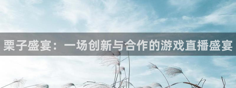 极悦娱乐网址注册：栗子盛宴：一场创新与合作的游戏直播盛宴