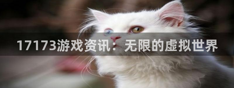 极悦娱乐平台登录：17173游戏资讯：无限的虚拟世界
